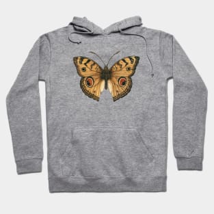 Peacock pansy butterfly Hoodie